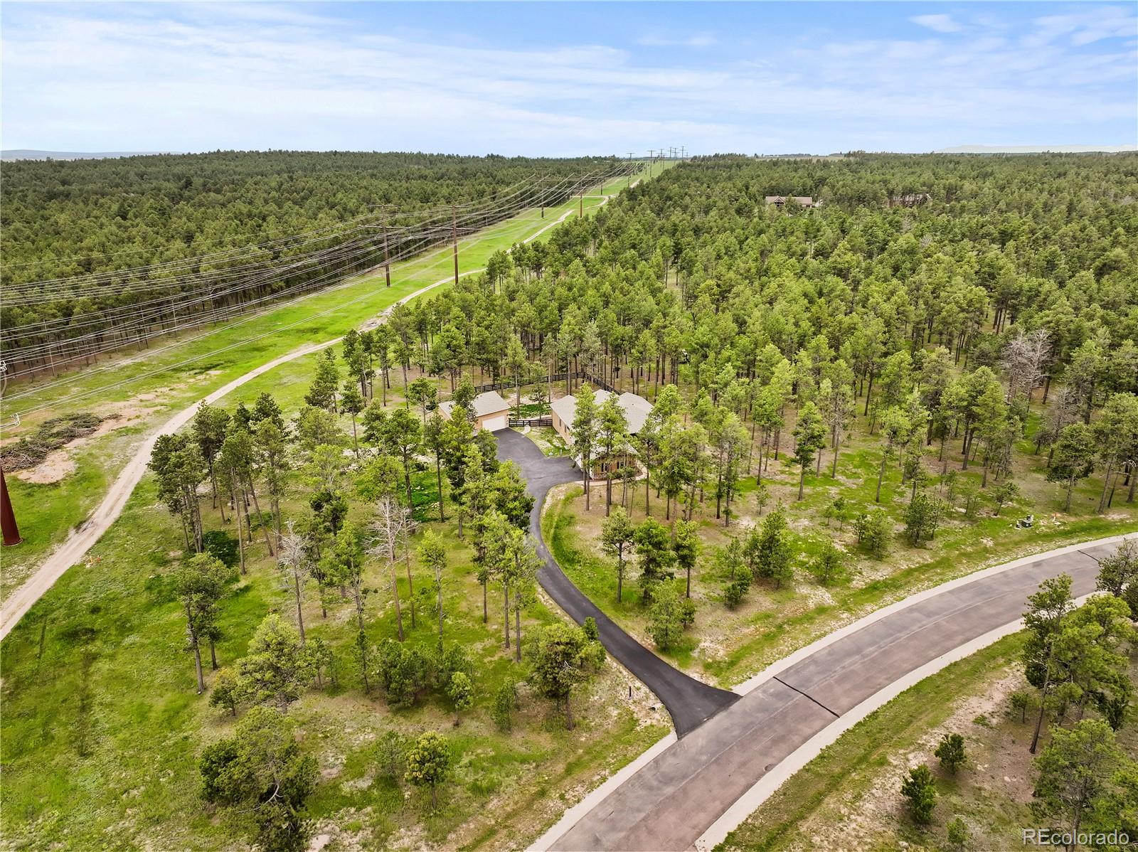 16104 Pole Pine Point