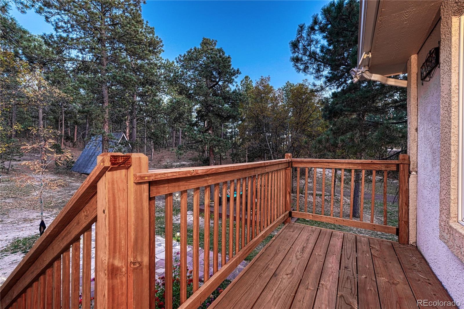 14695 Roller Coaster Road