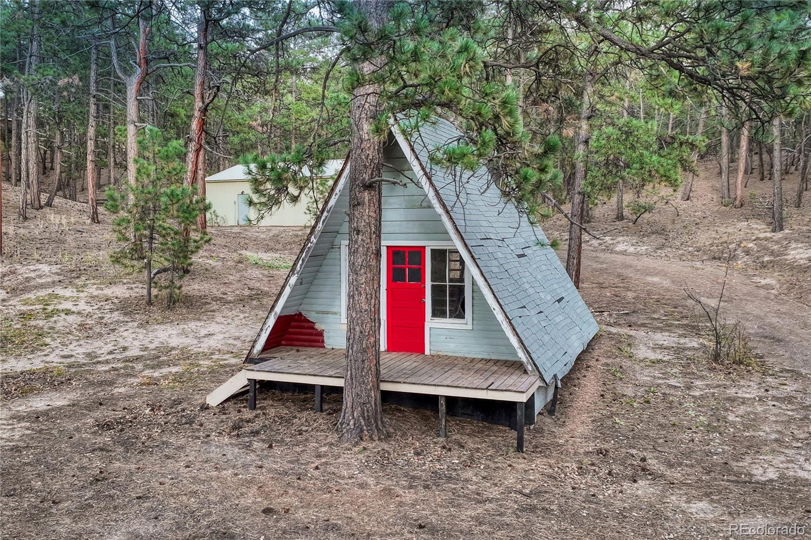 14695 Roller Coaster Road