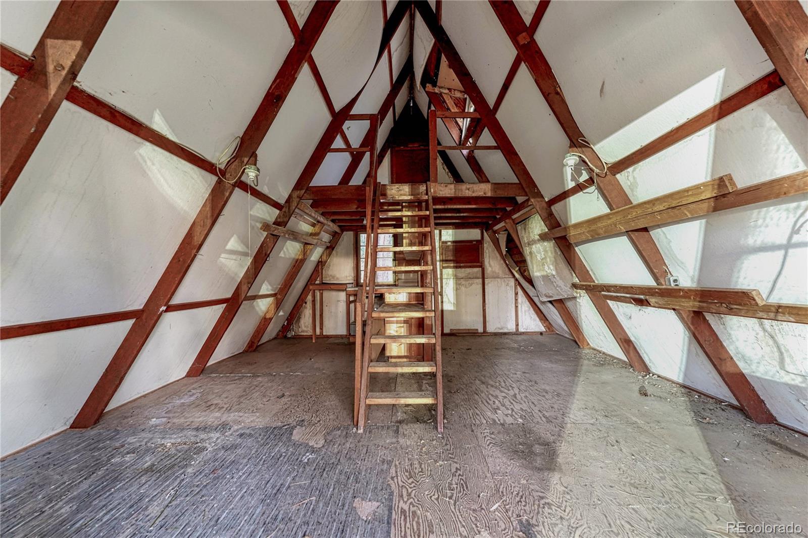 14695 Roller Coaster Road