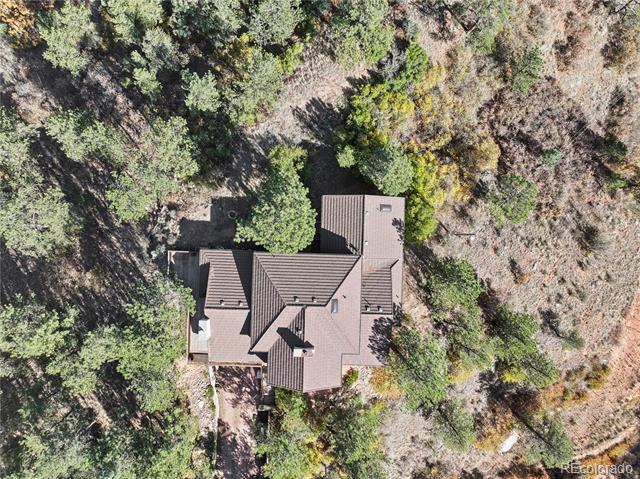 Aerial view of a gray-roofed house surrounded by trees, with a driveway alongside.