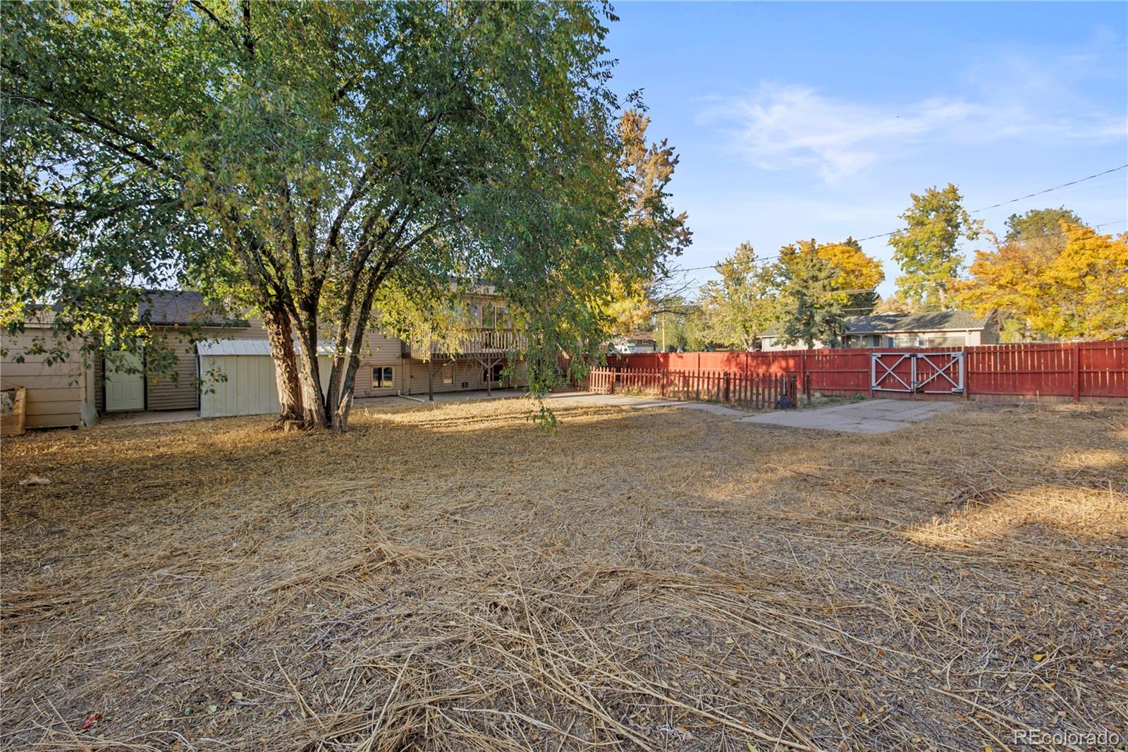 1603 Saratoga Drive