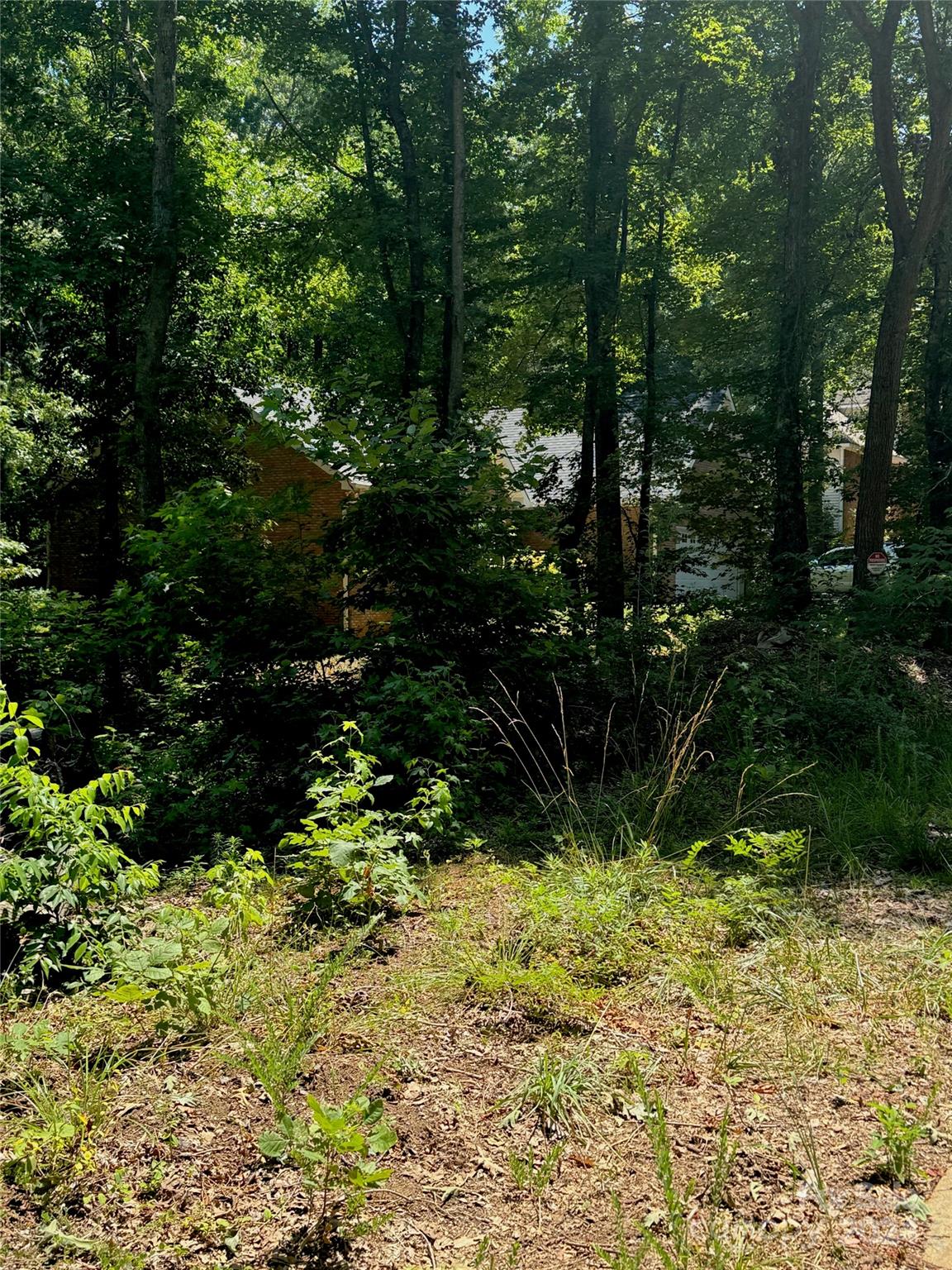 13307 Graymist Drive