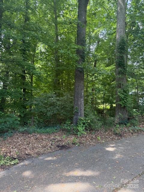 00 Greentree Drive