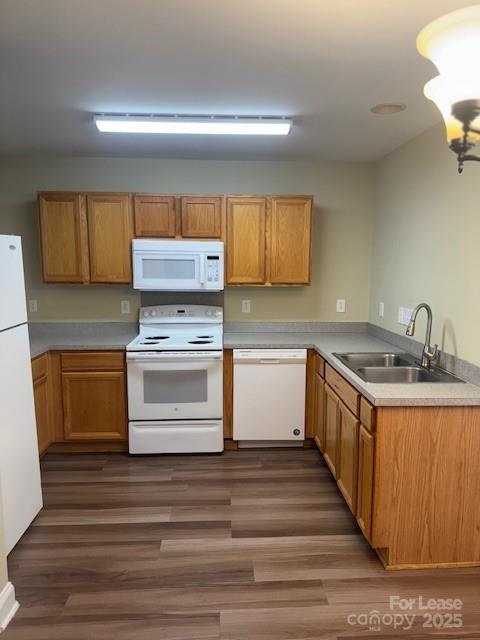 2400 Terra Drive