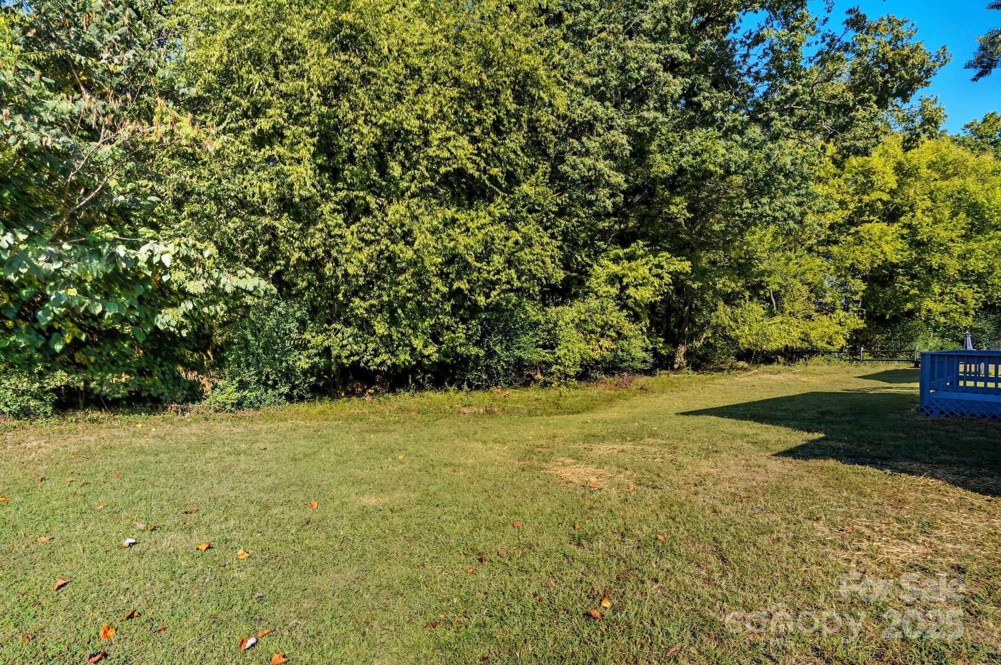 11006 Meadow Bank Lane