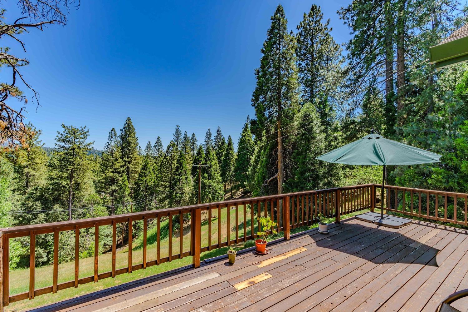 16524 Alpine Lane