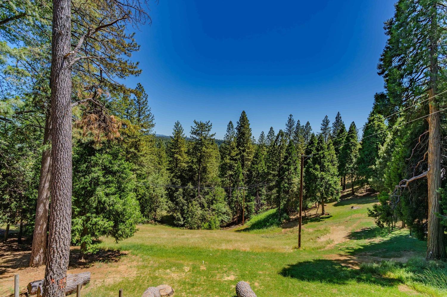 16524 Alpine Lane