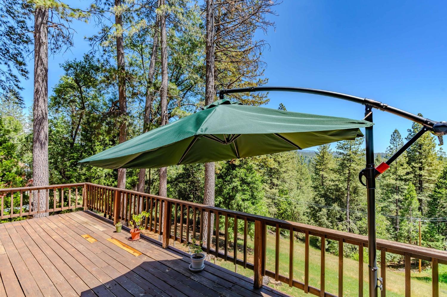 16524 Alpine Lane