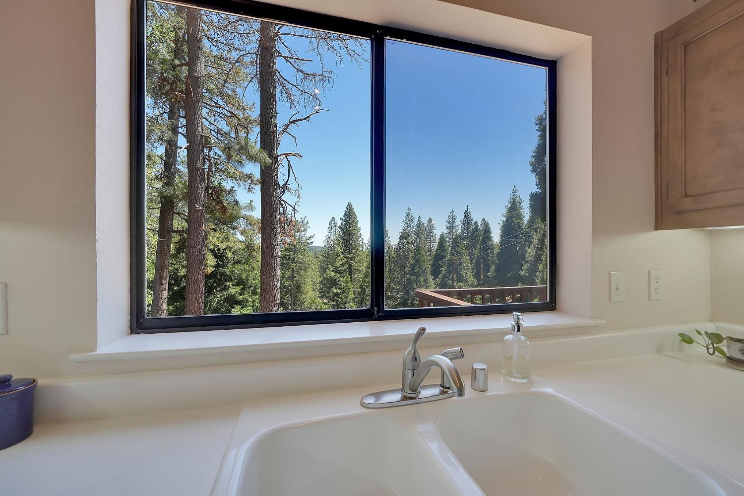 16524 Alpine Lane