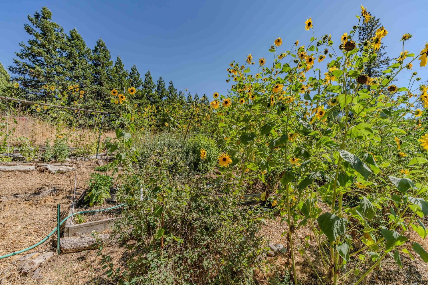 7184 Perry Creek Road