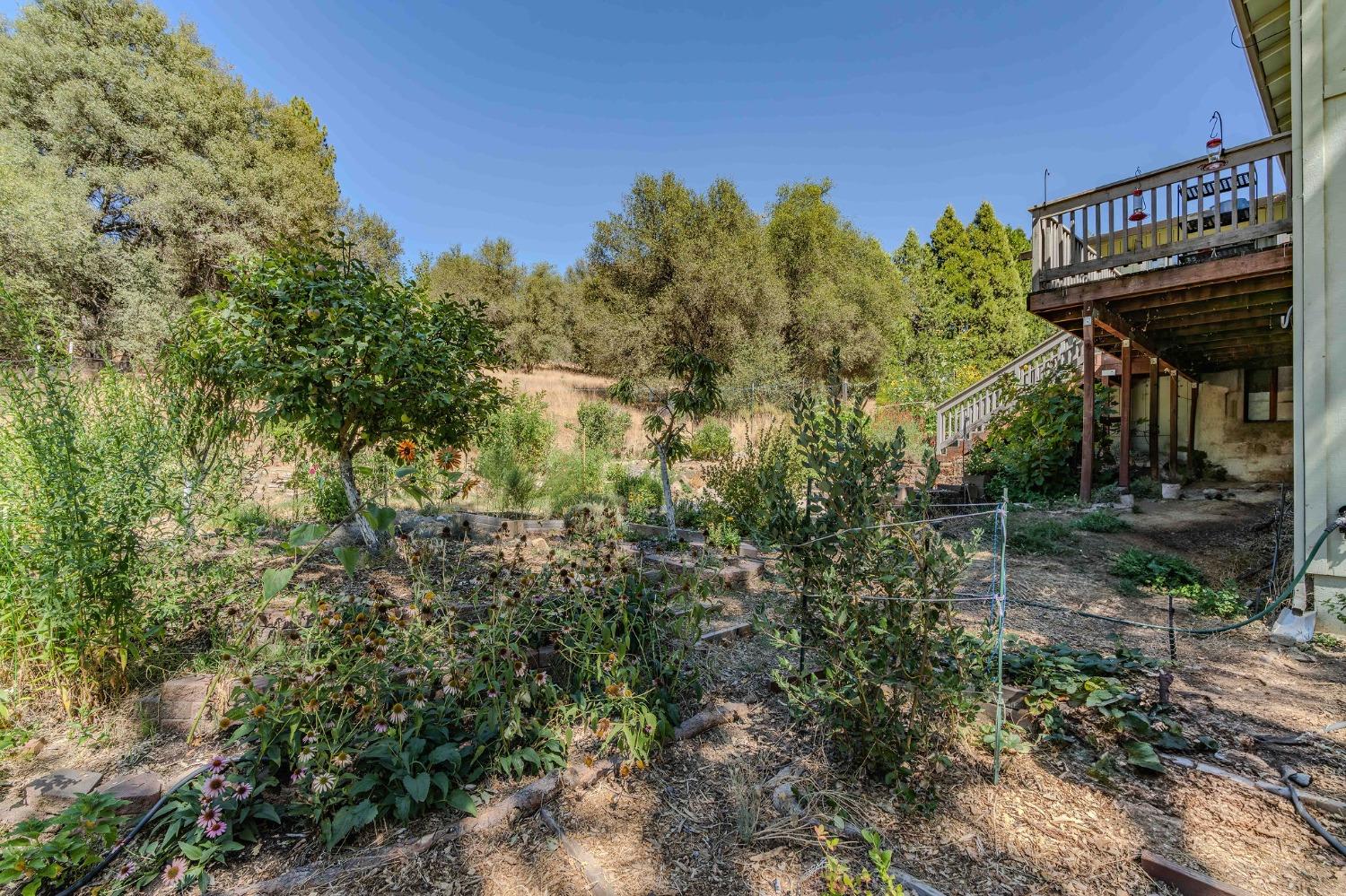 7184 Perry Creek Road