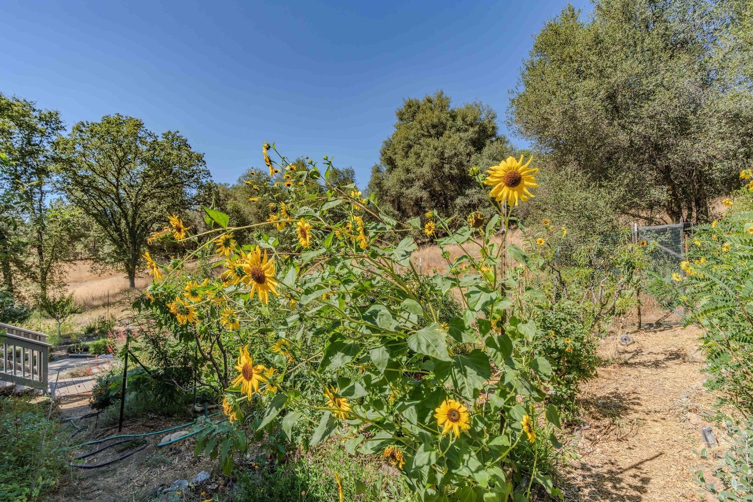 7184 Perry Creek Road