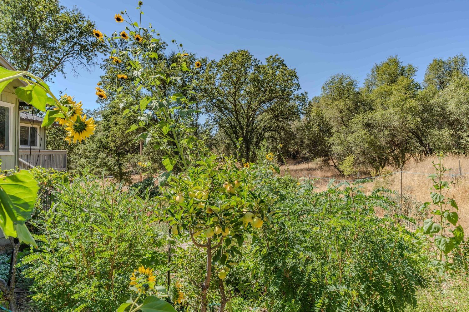 7184 Perry Creek Road