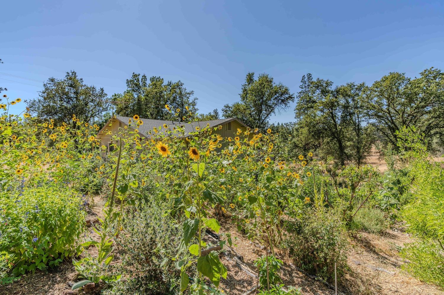 7184 Perry Creek Road