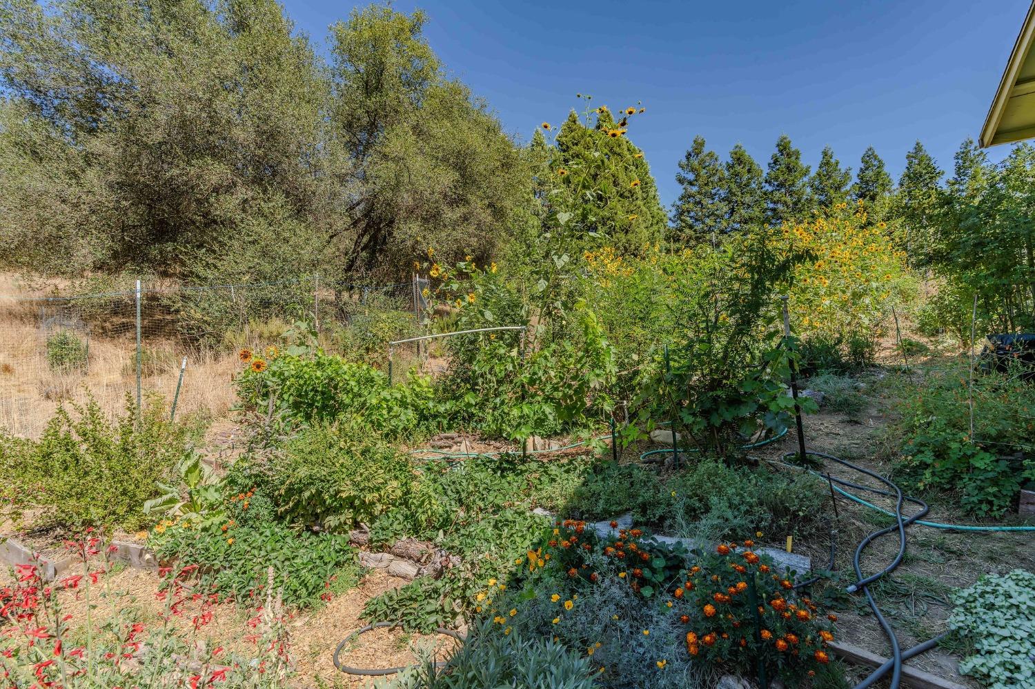 7184 Perry Creek Road