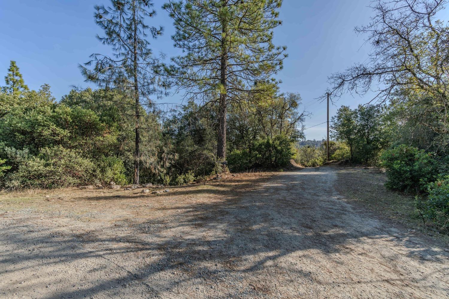 14238 Sutter Highlands Drive