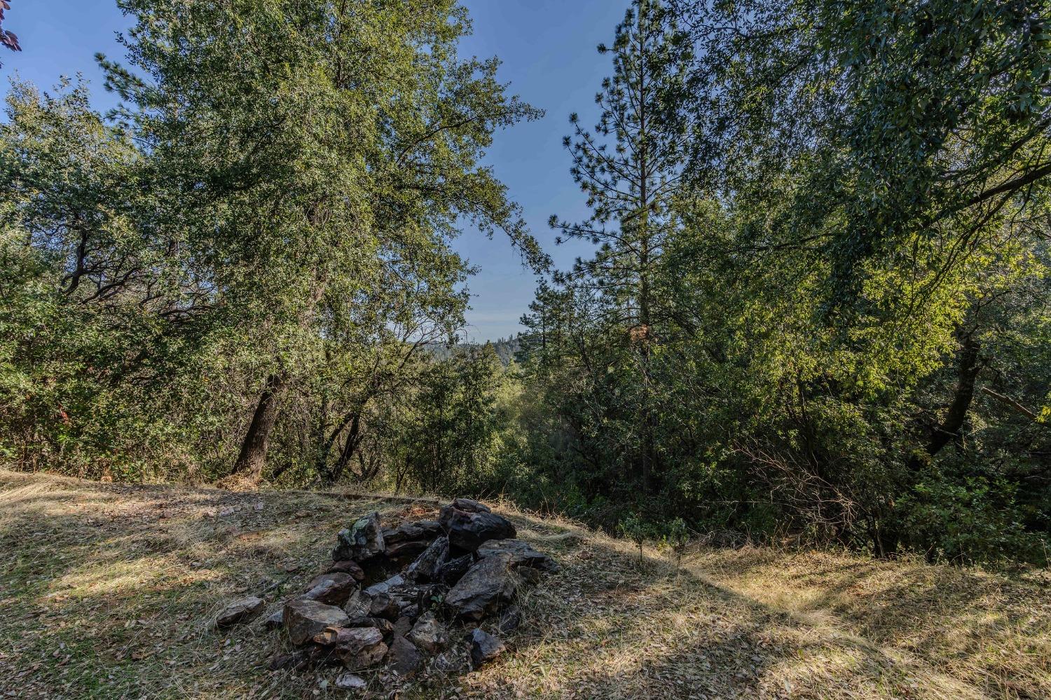 14238 Sutter Highlands Drive