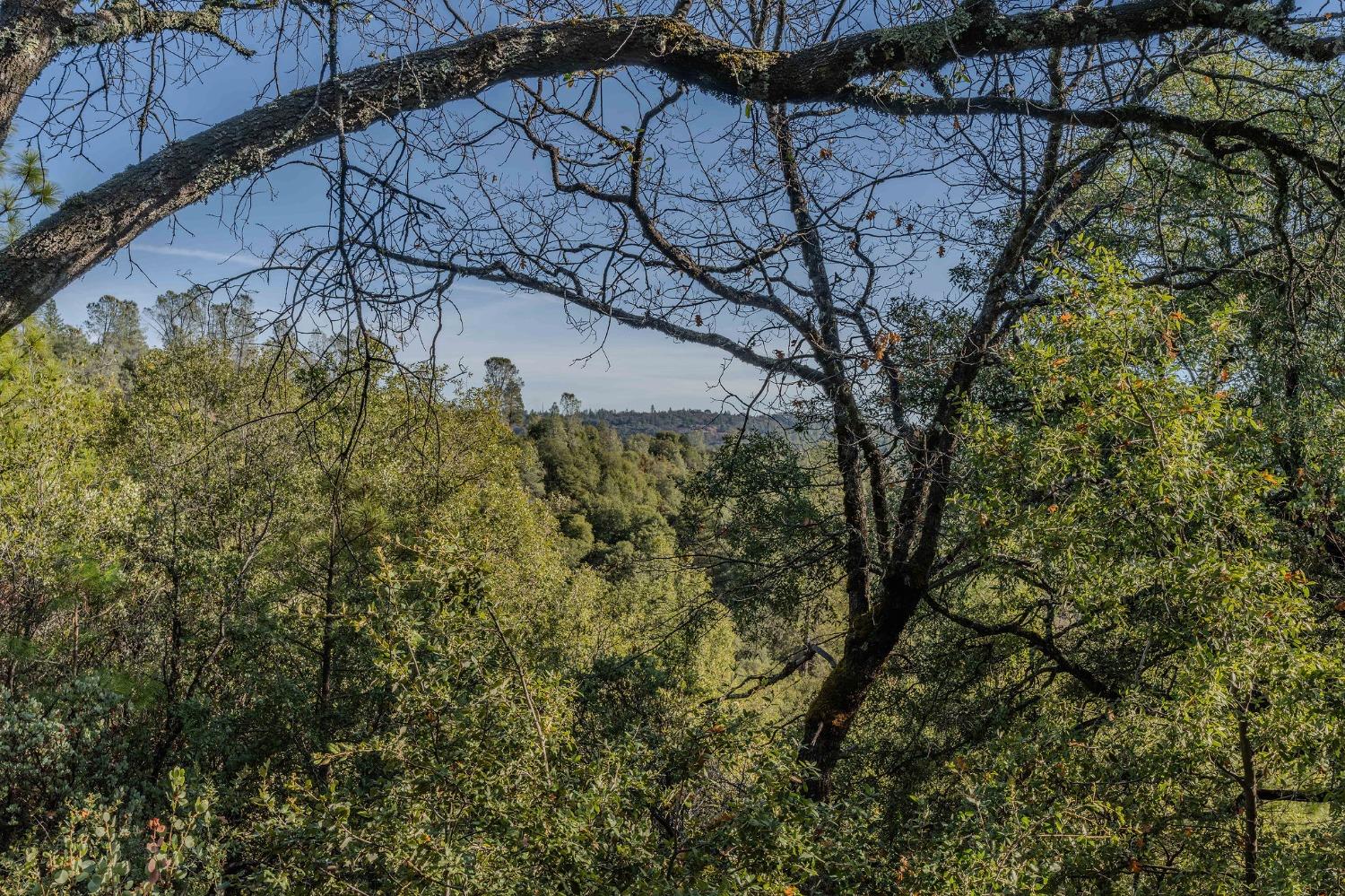 14238 Sutter Highlands Drive