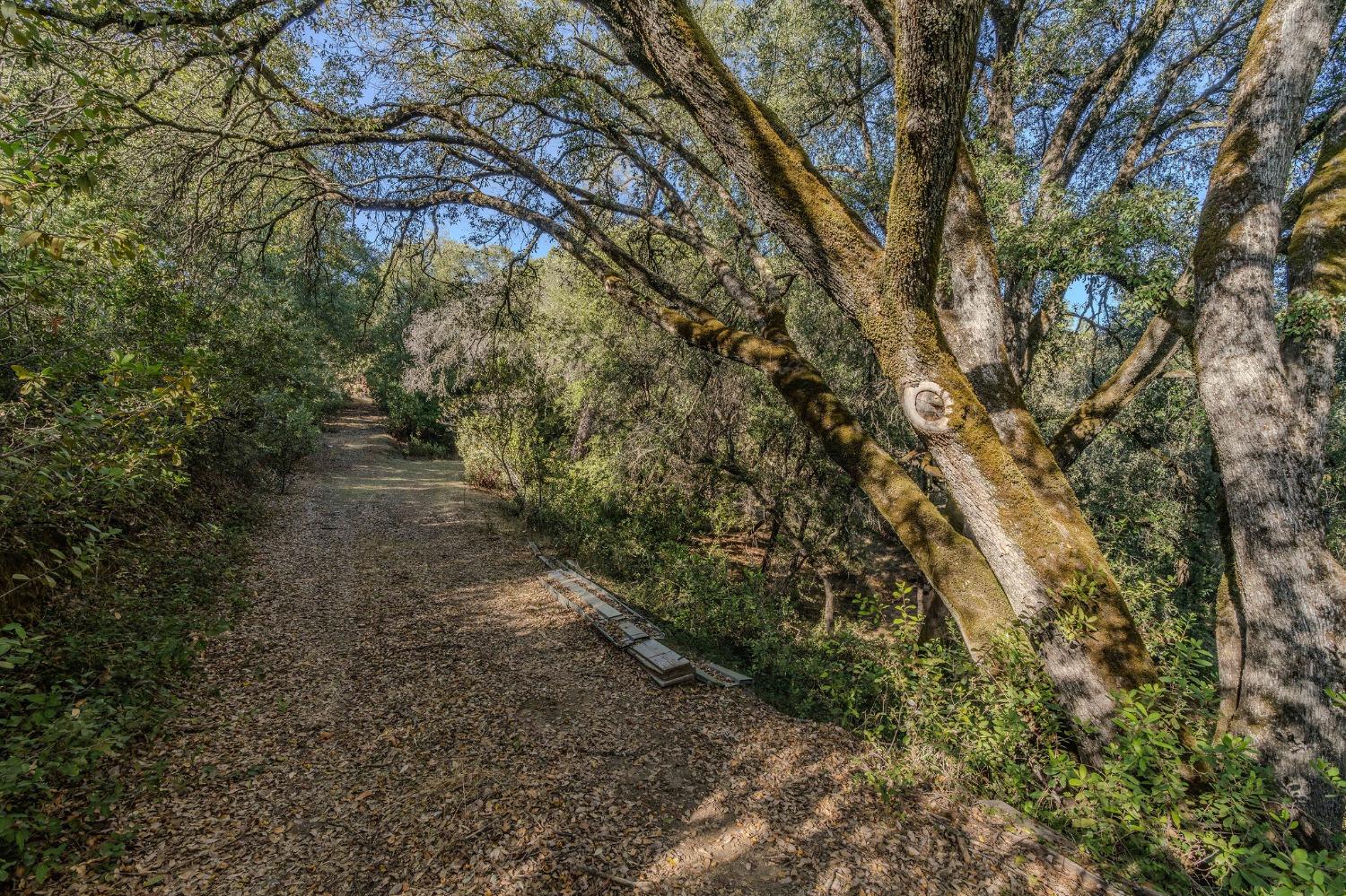 14238 Sutter Highlands Drive