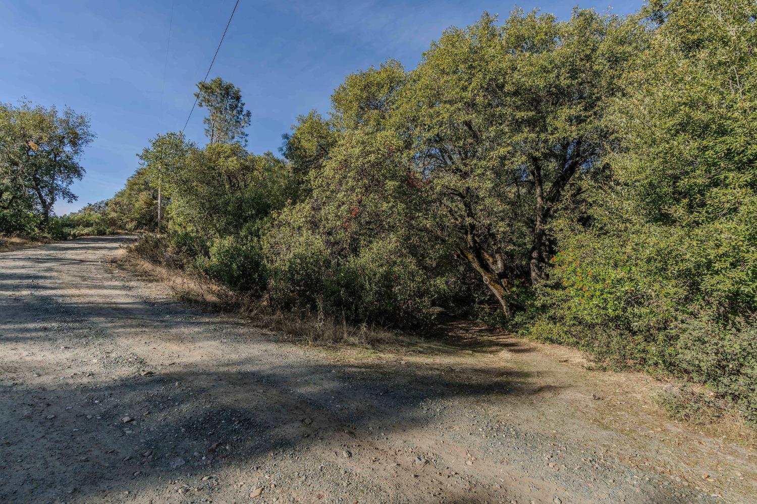 14238 Sutter Highlands Drive