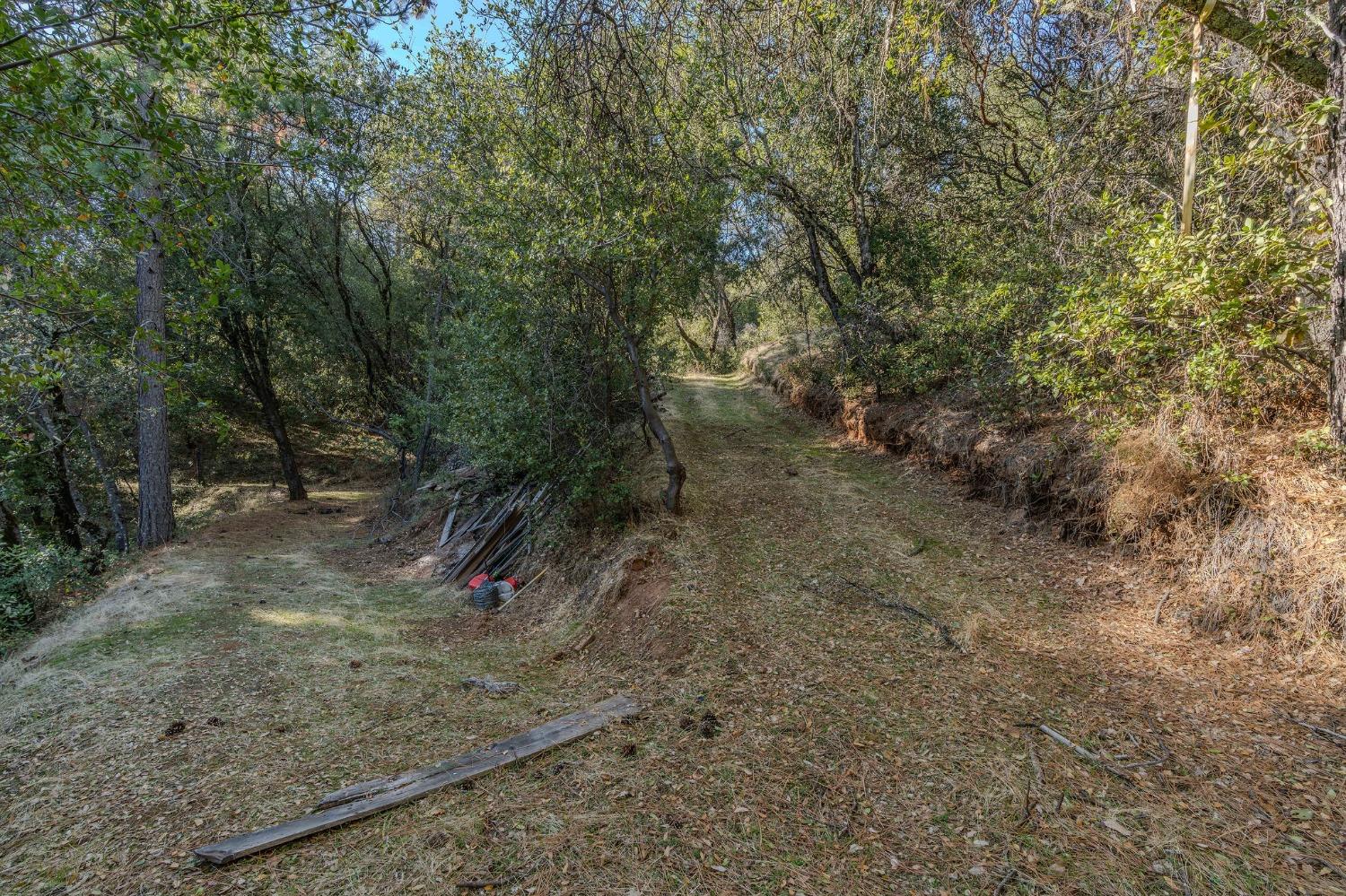 14238 Sutter Highlands Drive