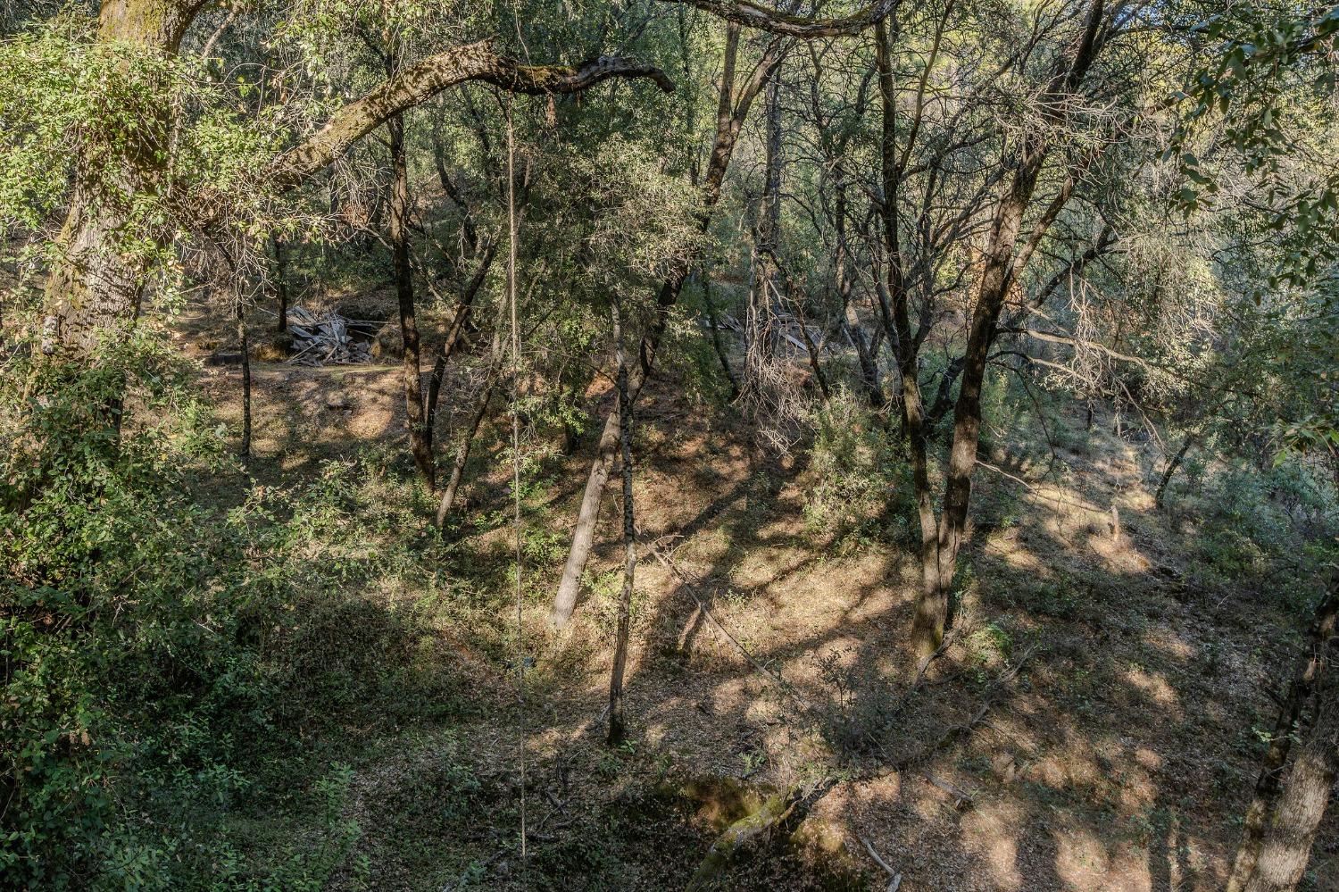 14238 Sutter Highlands Drive