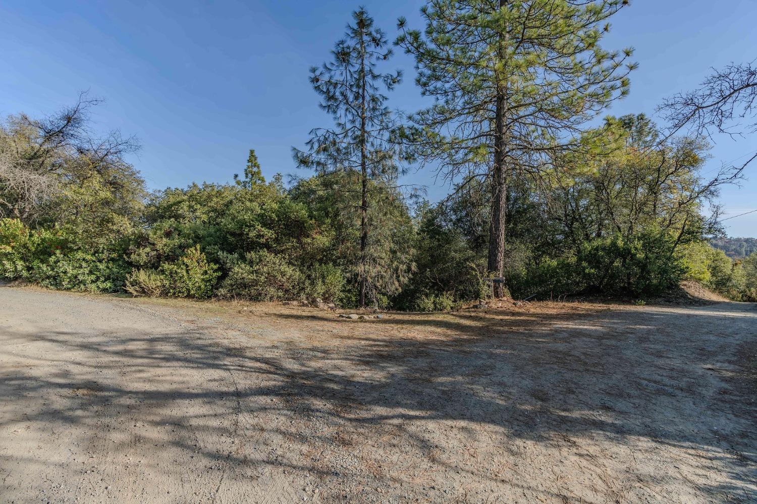 14238 Sutter Highlands Drive