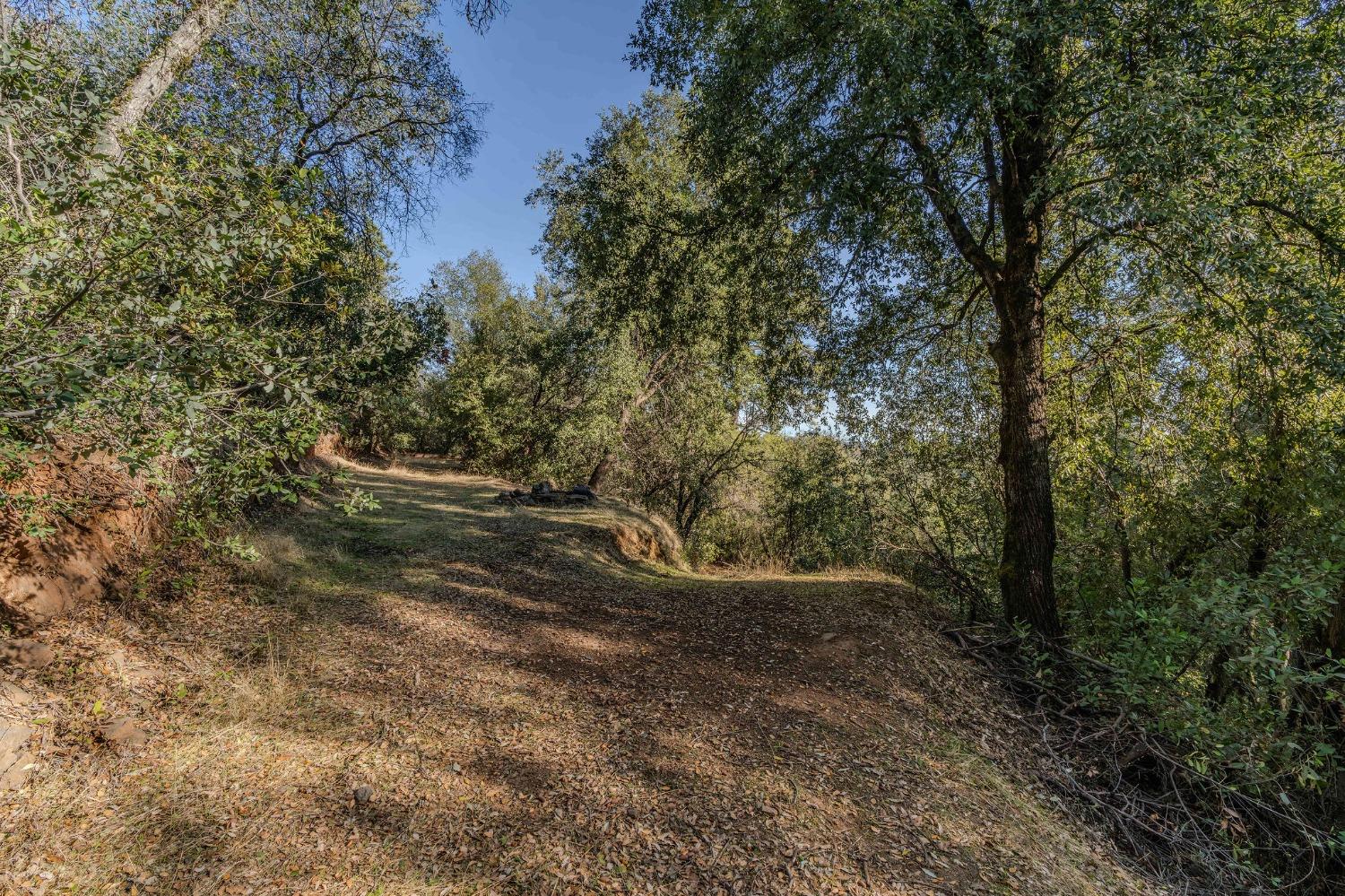 14238 Sutter Highlands Drive