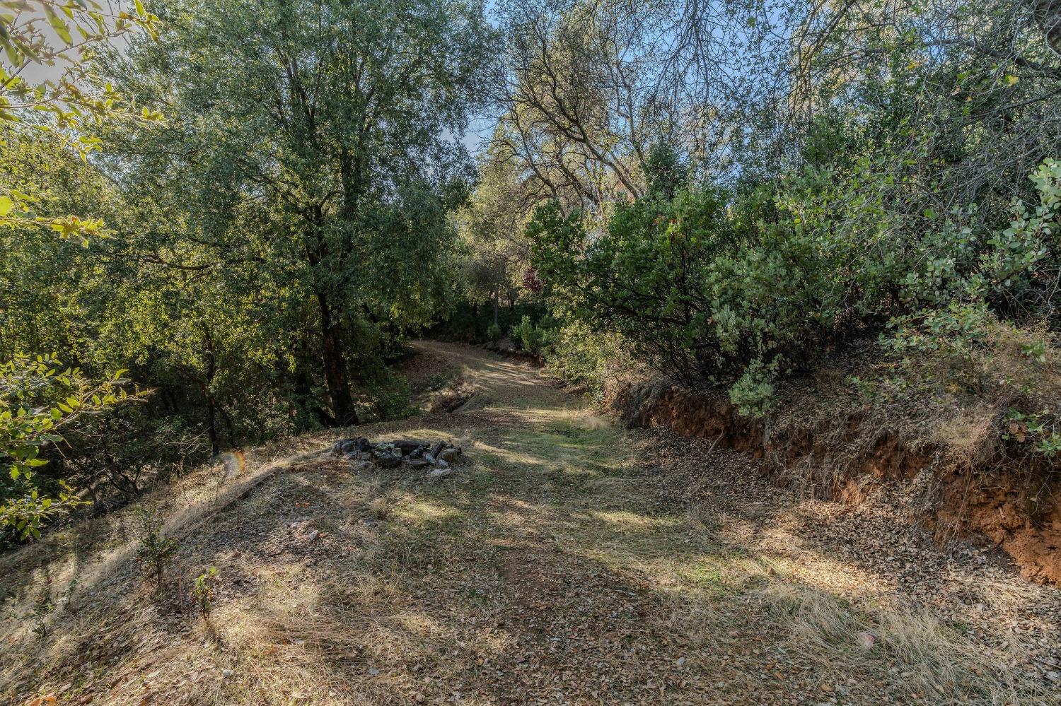14238 Sutter Highlands Drive