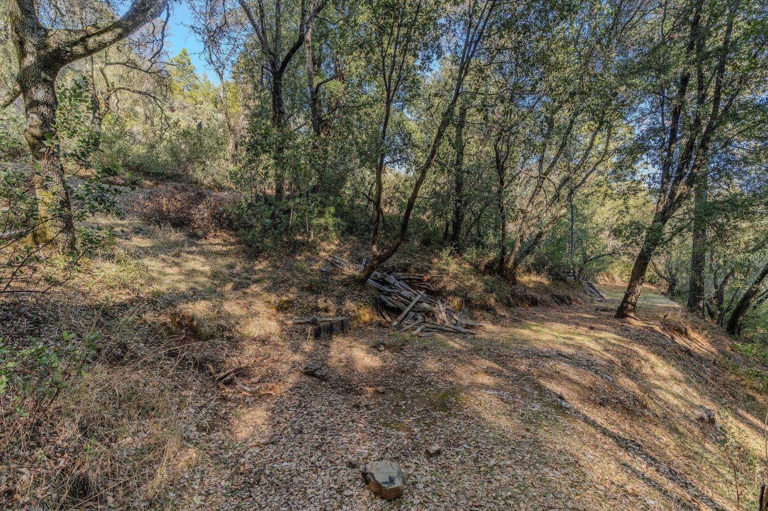 14238 Sutter Highlands Drive