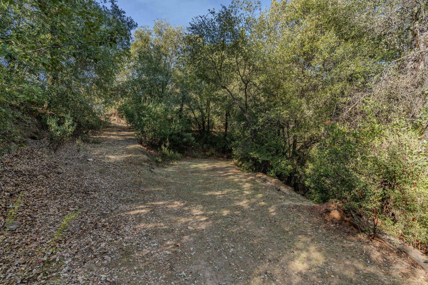 14238 Sutter Highlands Drive