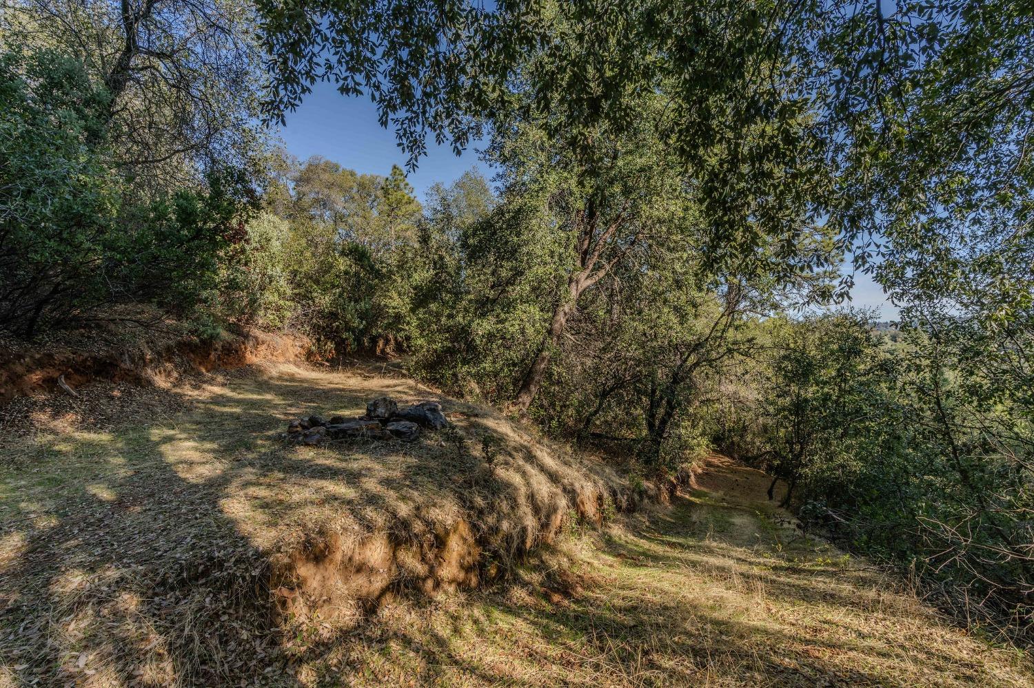 14238 Sutter Highlands Drive