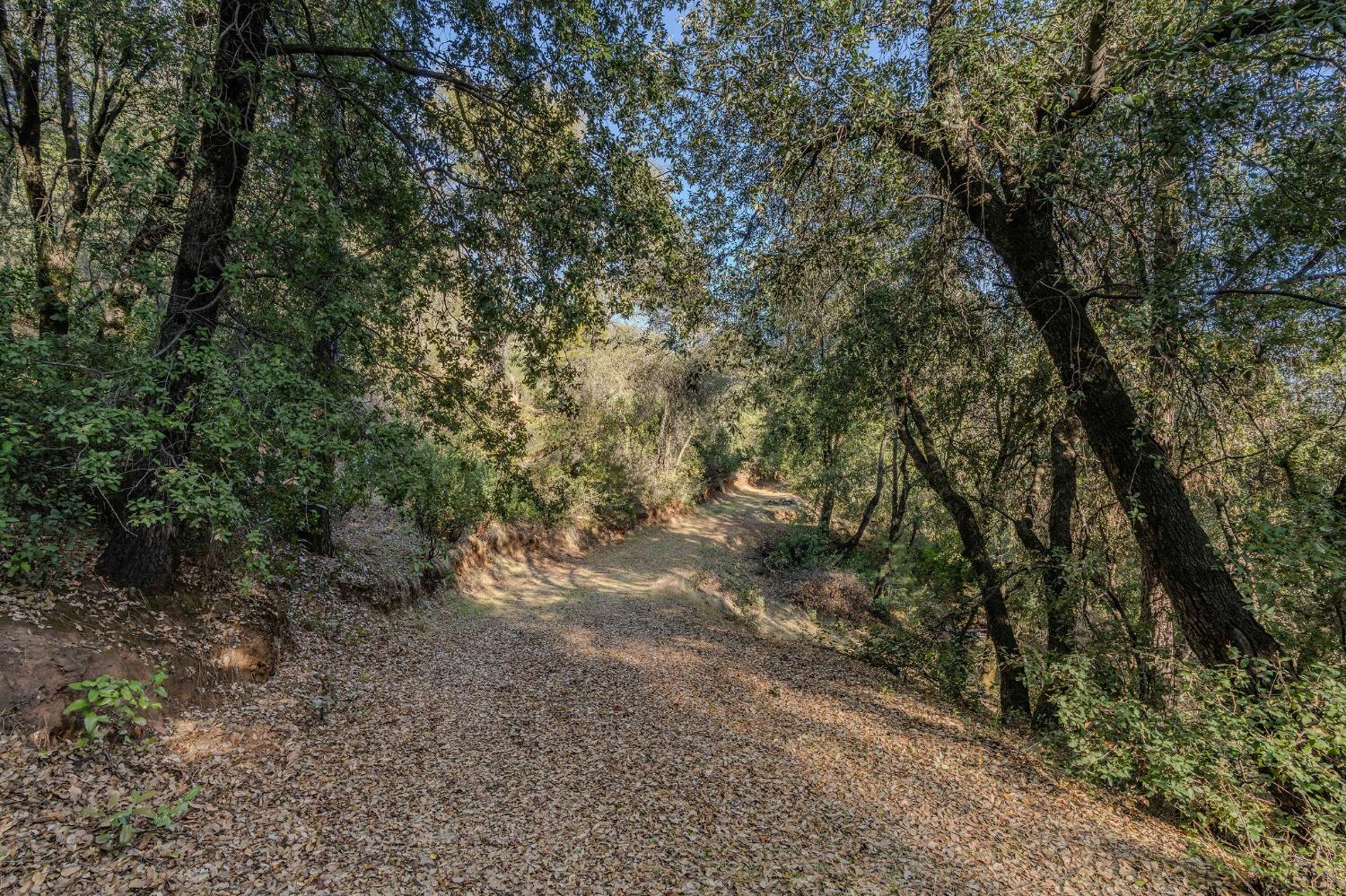 14238 Sutter Highlands Drive