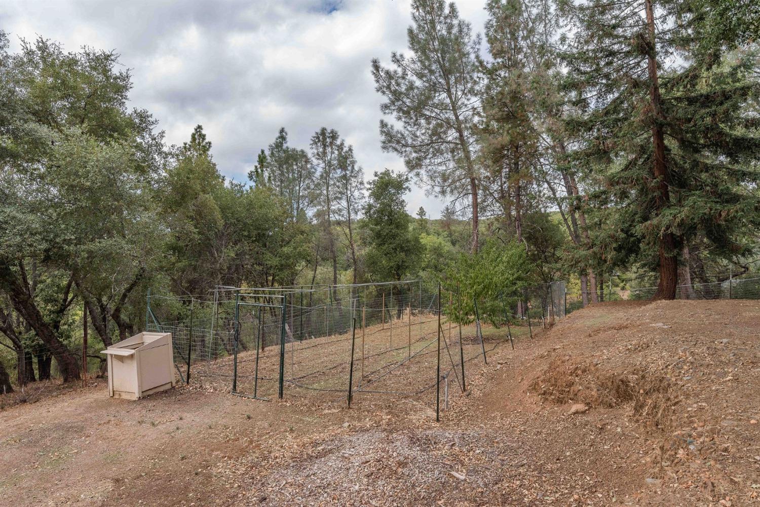 17915 Bosse Road