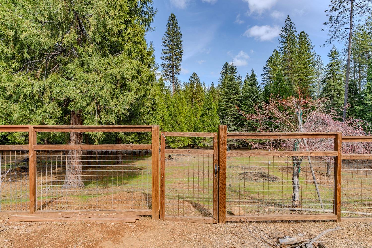 25521 Wildflower Drive