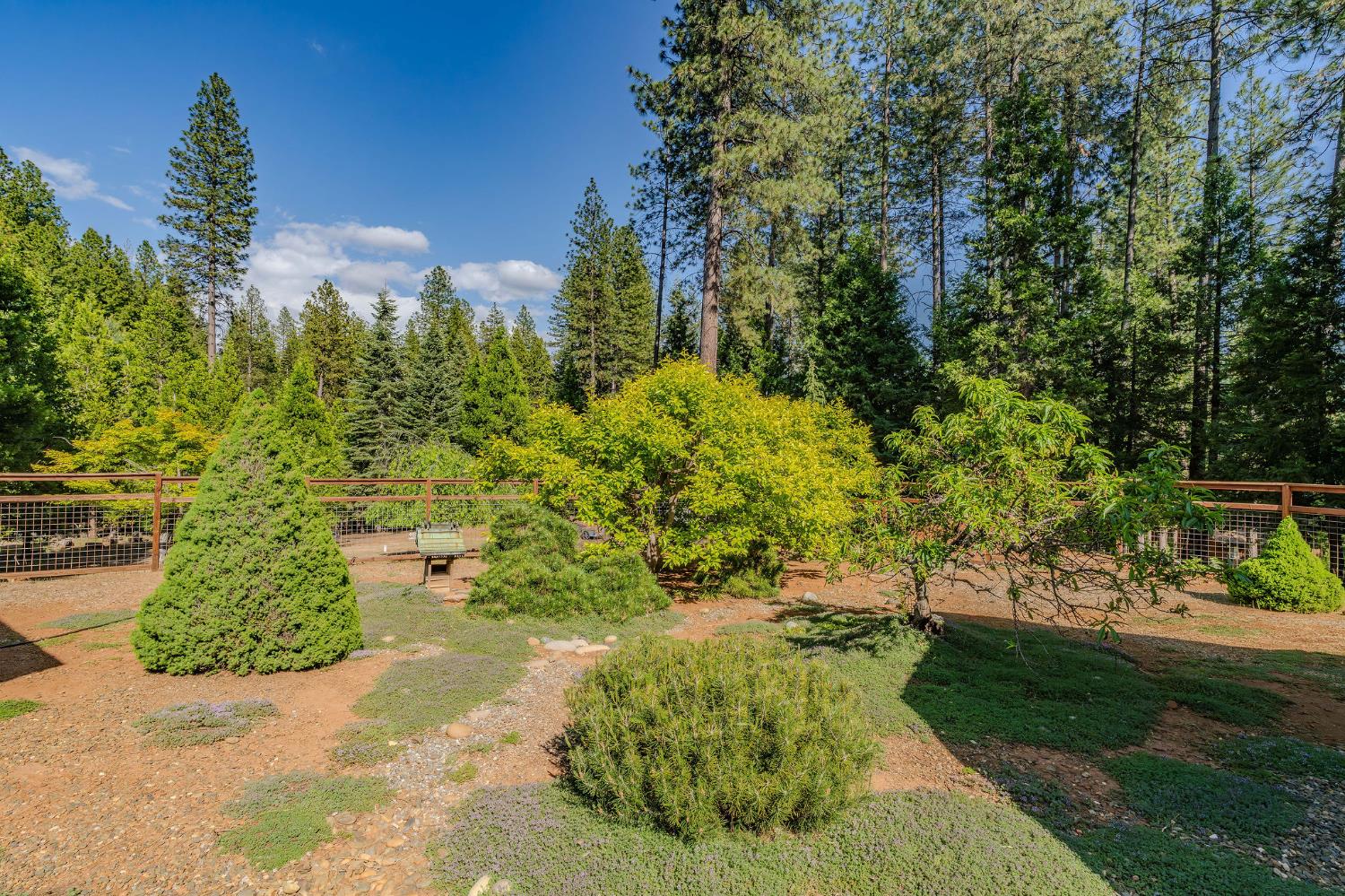 25521 Wildflower Drive