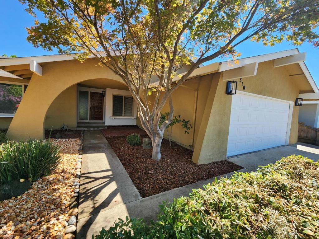310 Wiley Court