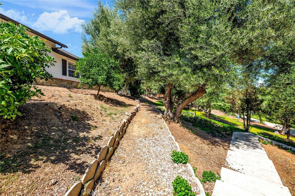 42761 Juniper