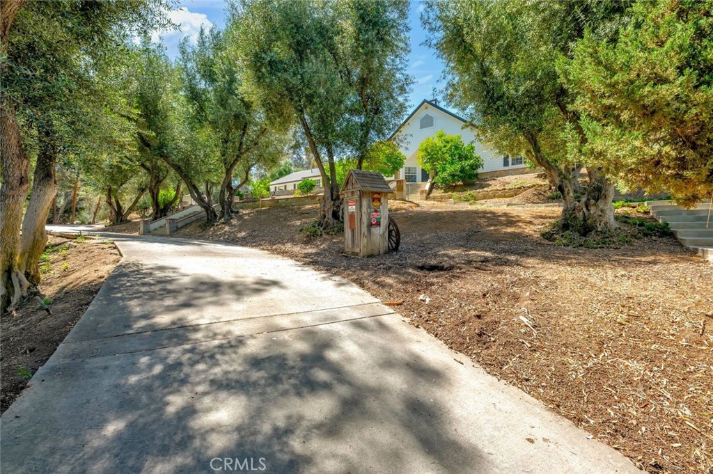 42761 Juniper