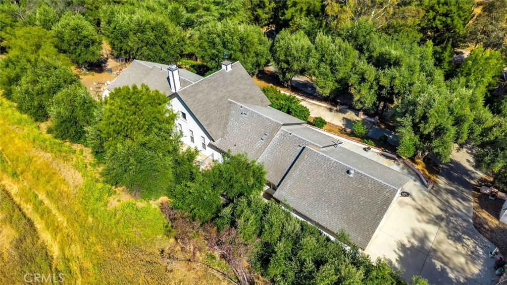 42761 Juniper