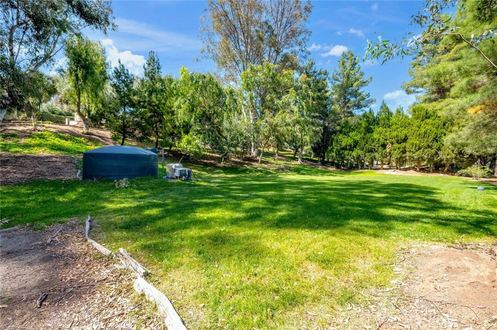 42761 Juniper