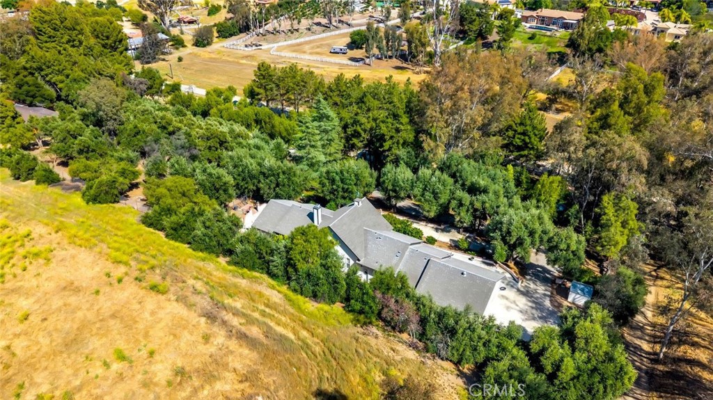 42761 Juniper
