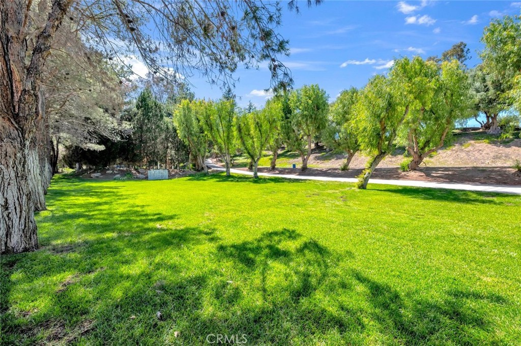 42761 Juniper
