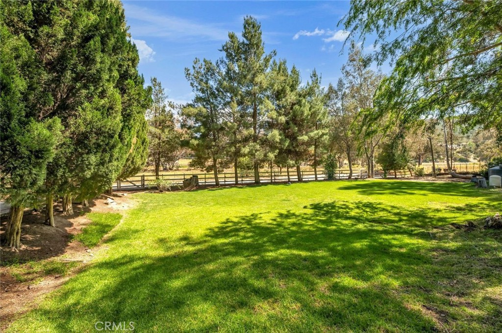 42761 Juniper
