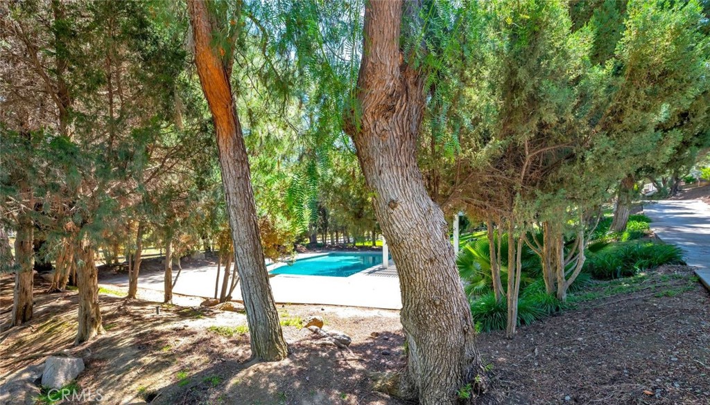 42761 Juniper