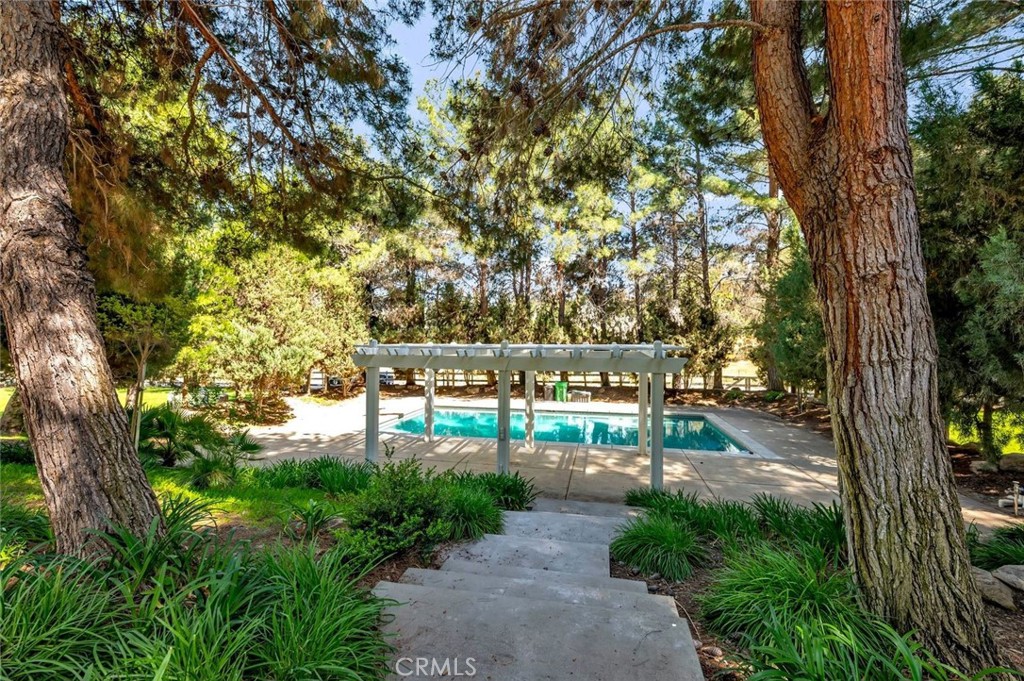 42761 Juniper