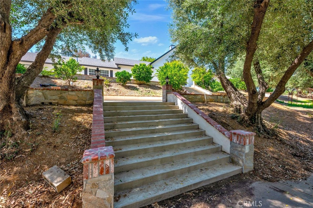42761 Juniper