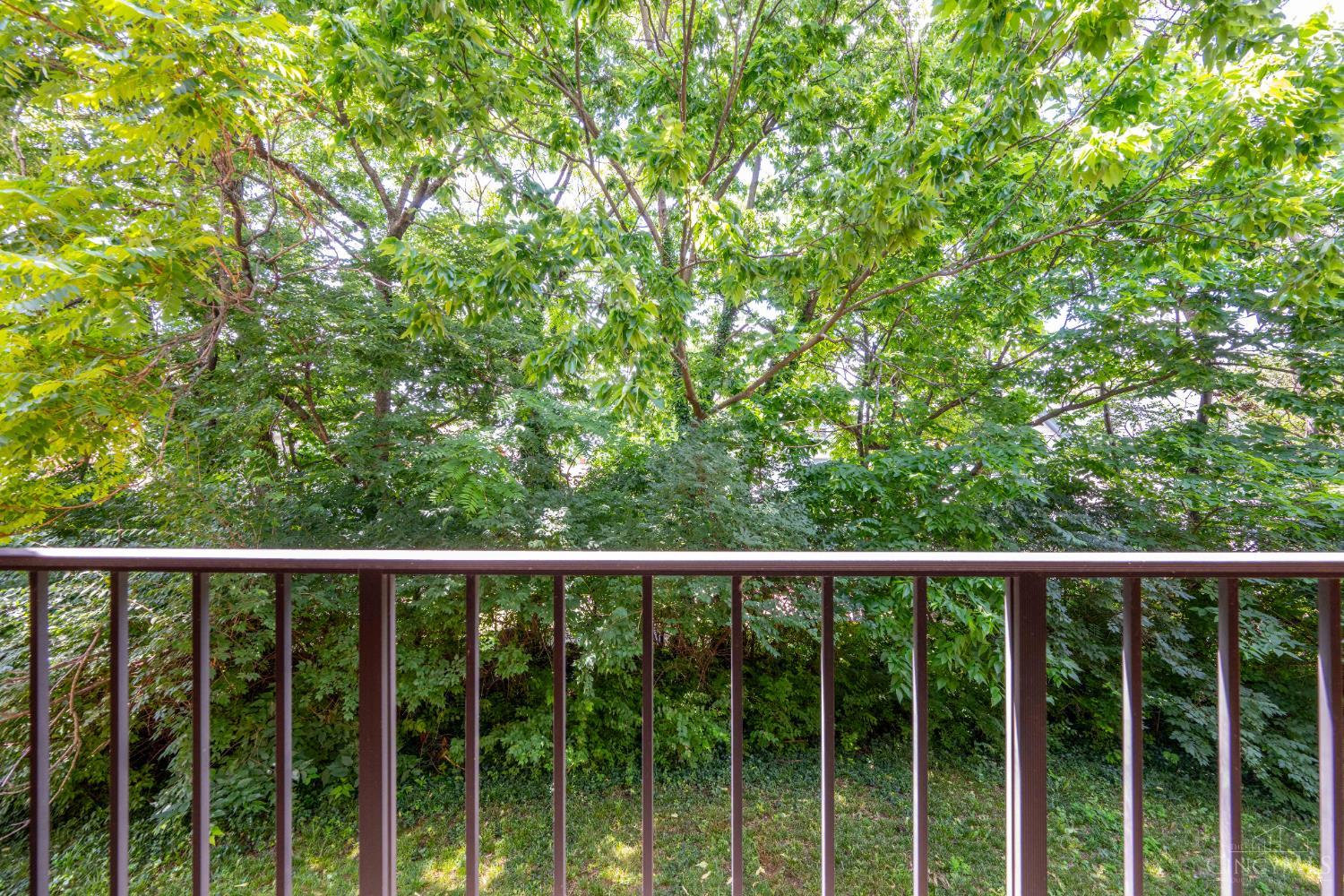 518 Riddle Road 7