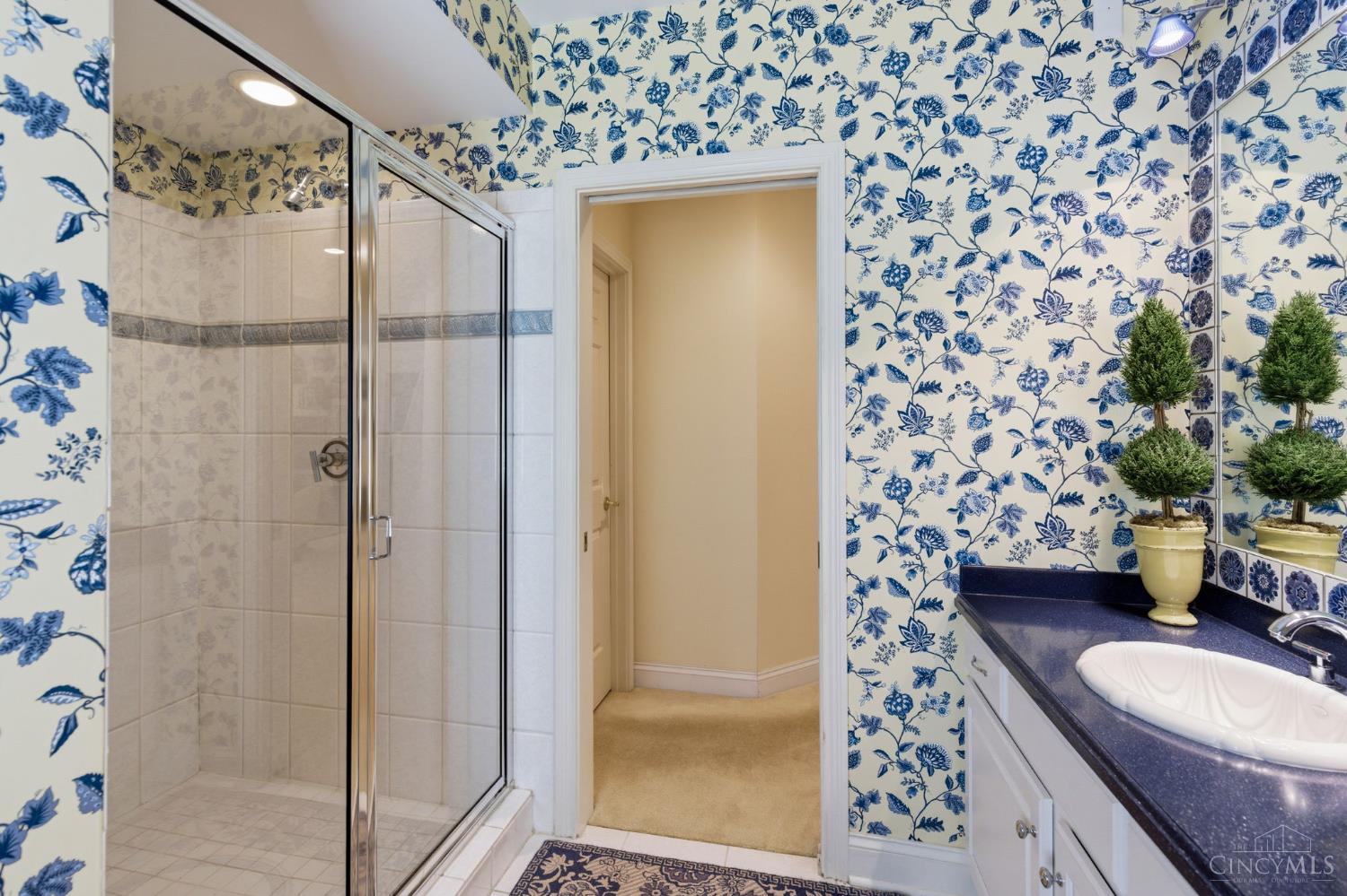 11 Camargo Canyon Drive